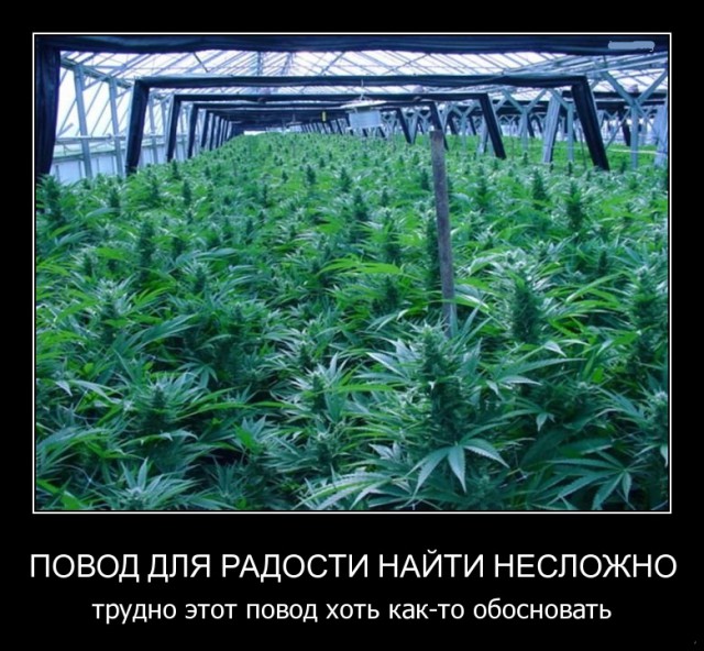 Субботняя подборочка картинок