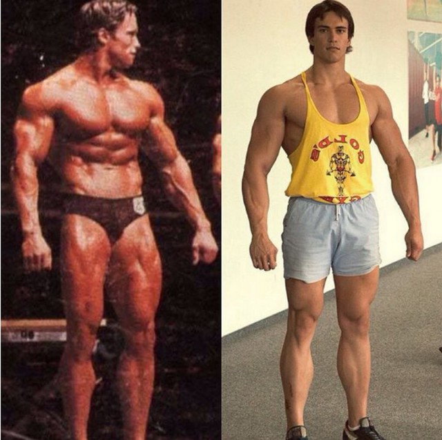 Русский клон железного Арни