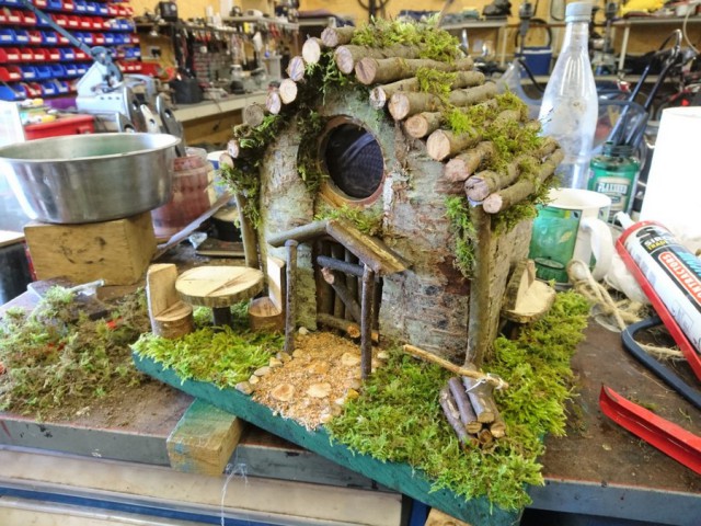 Прикольные и интересные фото