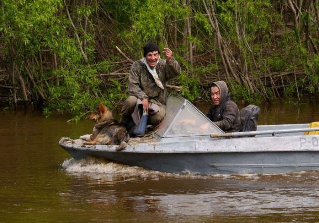 «Черные археологи» в поисках бивней мамонта