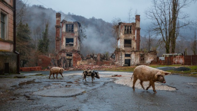 Подборка интересных и веселых картинок