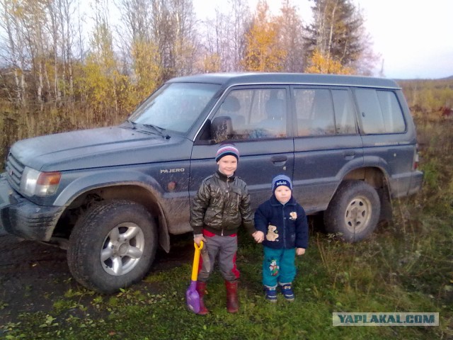 На каких машинах ездят ЯПовцы