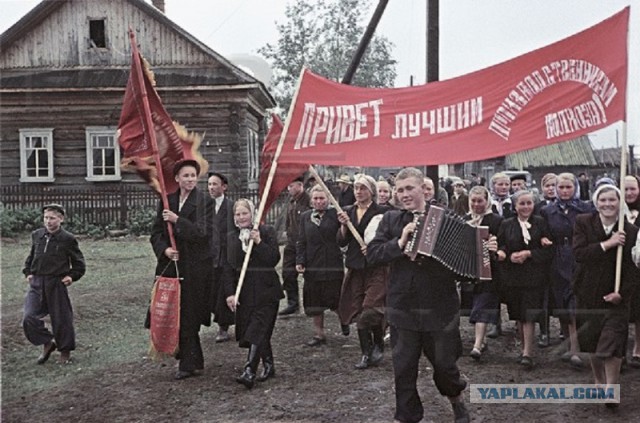 Хочу в деревню, к бабушке, как в детстве...