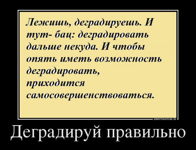 В Подмосковье сотрудника сервис-центра избили за отказ выпить на работе