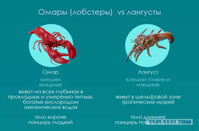 Куба. Варадеро. Отчет. День 2