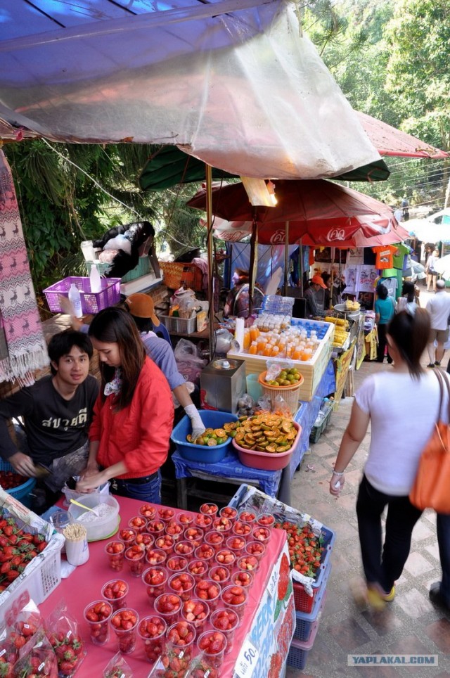 Чианг Май. Жемчужина Севера.