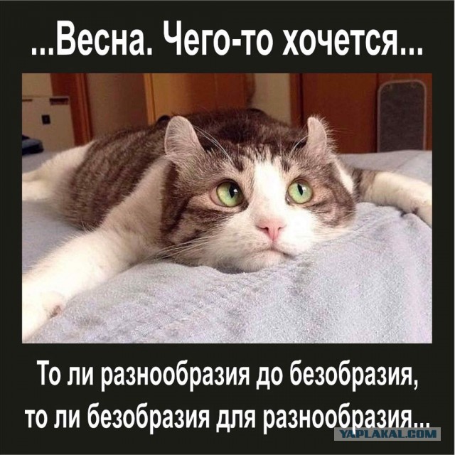 Итоги проверки пользователей