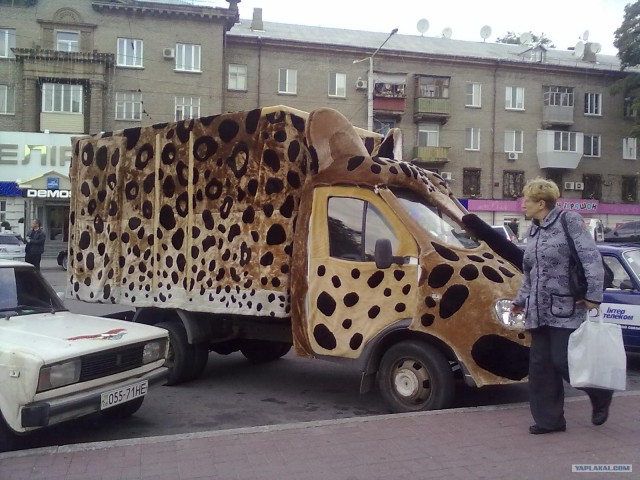КотоГазель