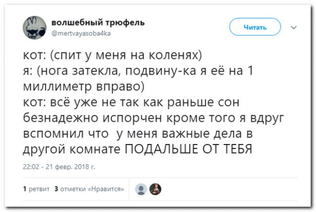 Смешные комментарии из соц.сетей