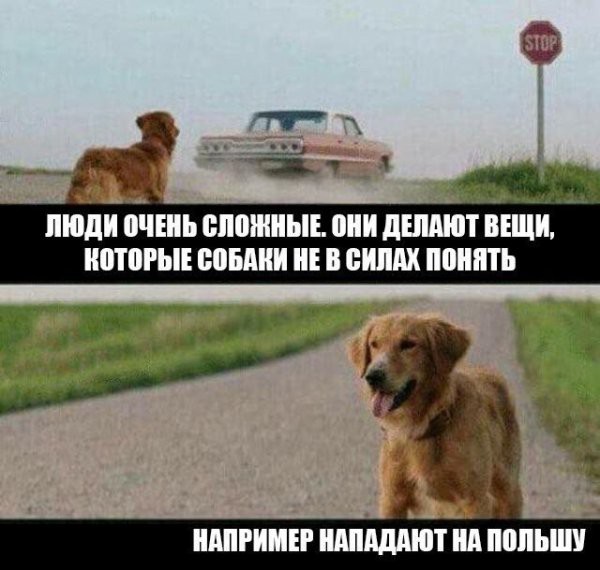Нестандартный юмор