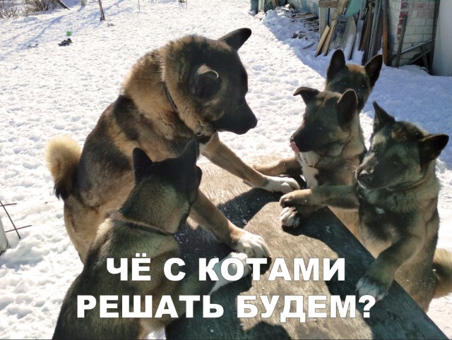 Нестандартный юмор
