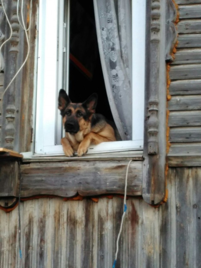 Каникулы в деревне
