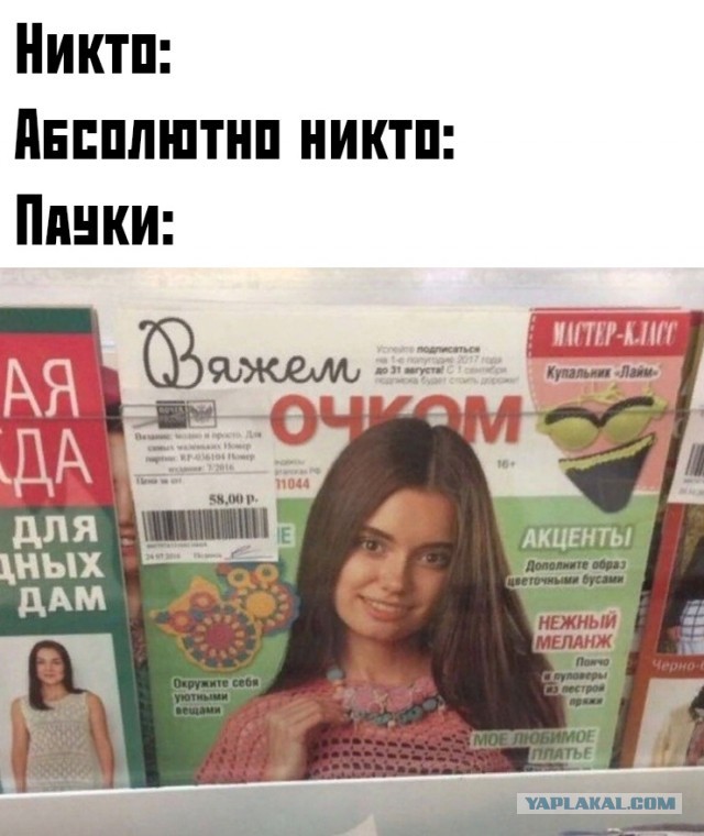 Картинки с надписями, истории и анекдоты 05.11.19