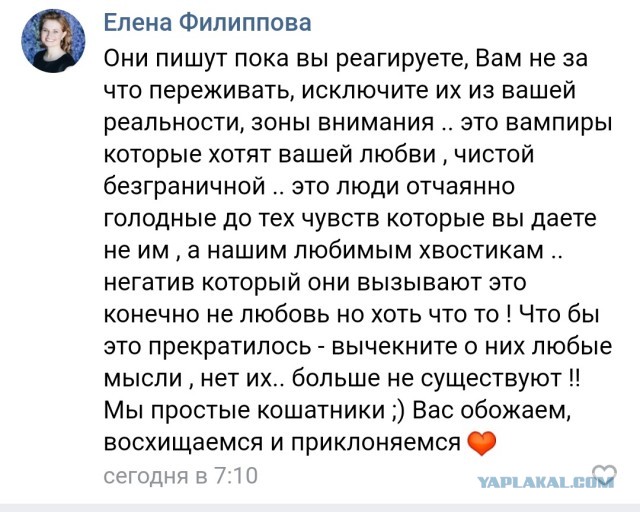 Помогите вернуть кота! Приют "Преданное сердце" украл кота и не отдает!-2