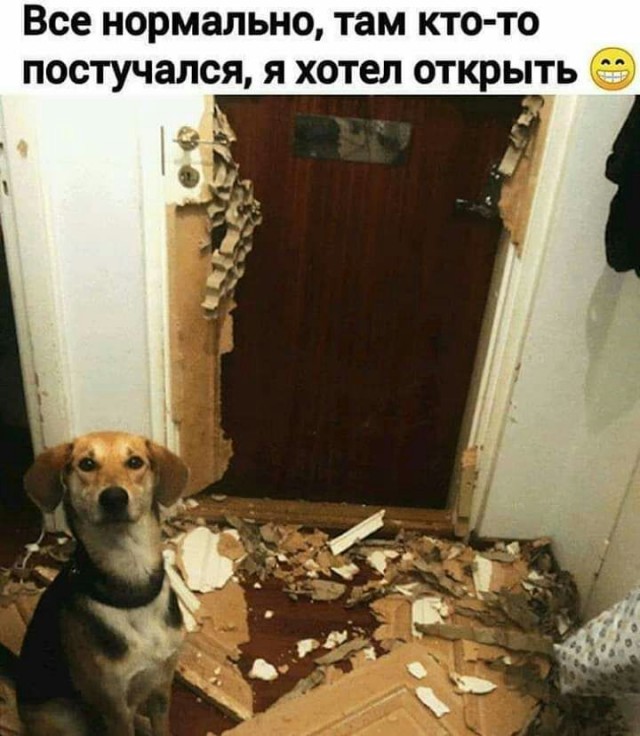 Чуток картинок 19.05.20