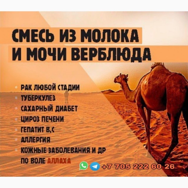 Стало известно о тяжелом состоянии Кадырова