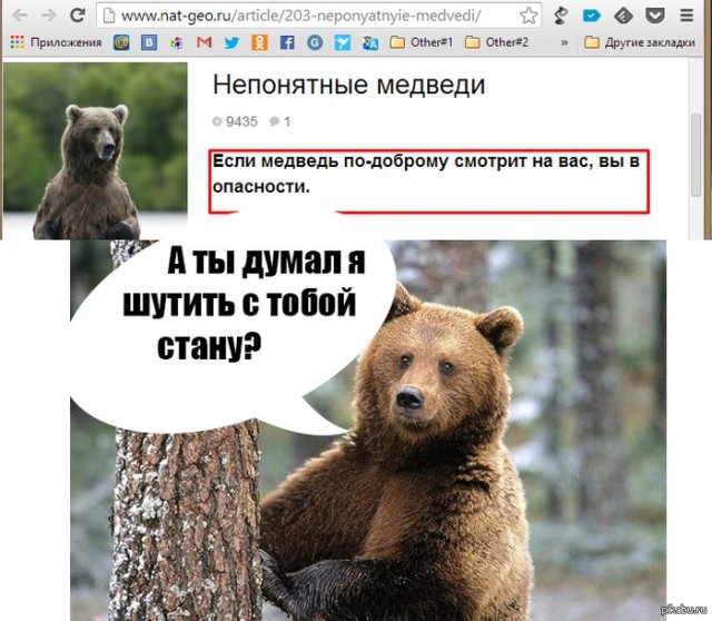 Медвежий уголок