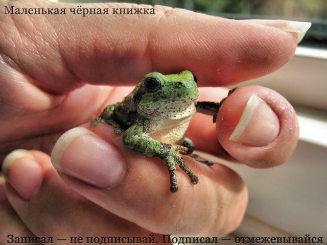 Фотожаба: Создаём свой альбом
