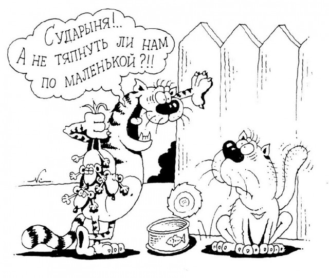 С котопятницей! Улыбнемся?