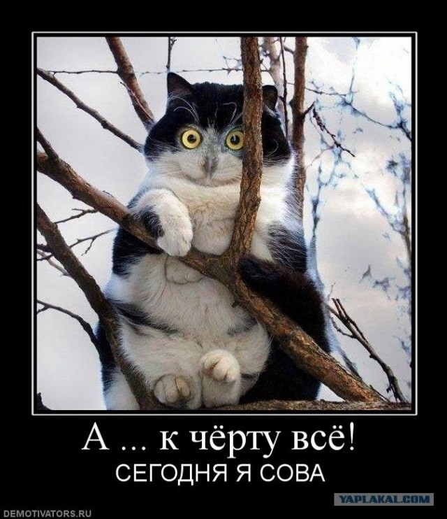 Да пусти же ты! Дай посмотреть...