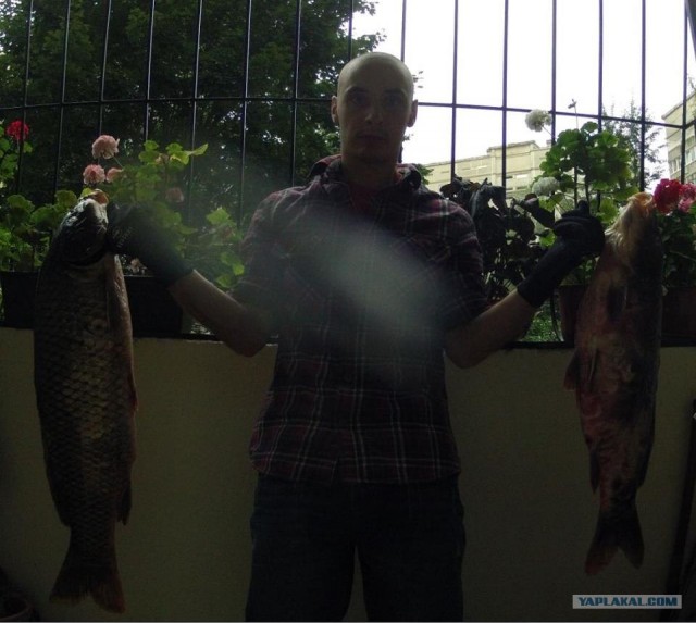 Подводная охота