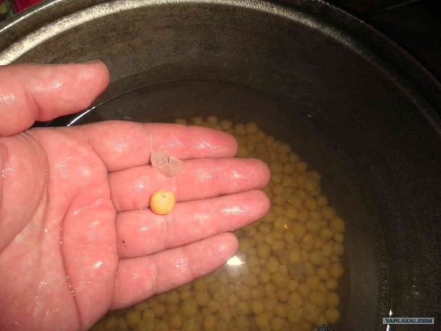 Готовим хумус.