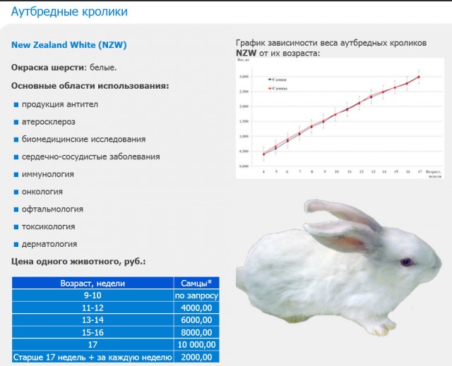 Давайте переведём в деньги