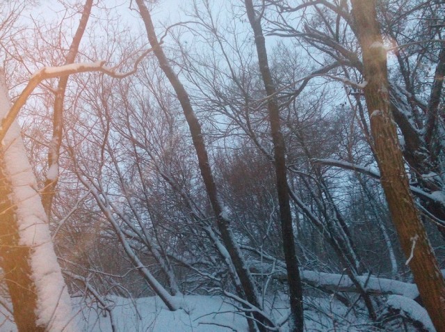 Декабрь на Южном Урале