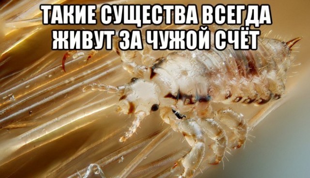 Интересное наблюдение