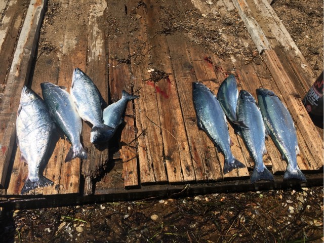 Рыболовства пост