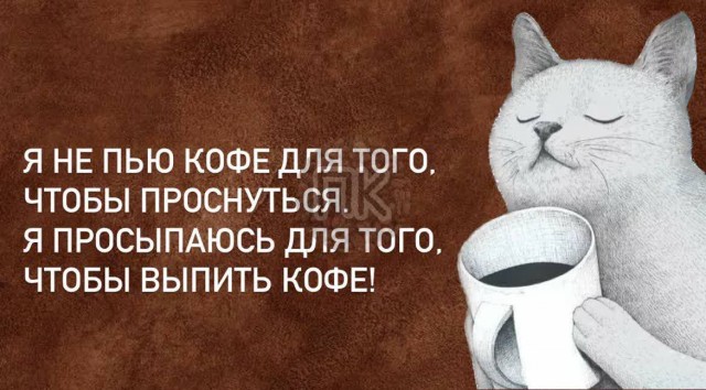 Победная поступь идиотизма по планете – том 6