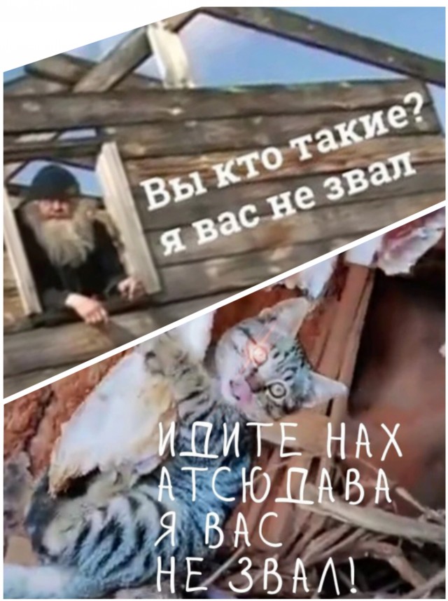 Проверил на готовность, хозяин!