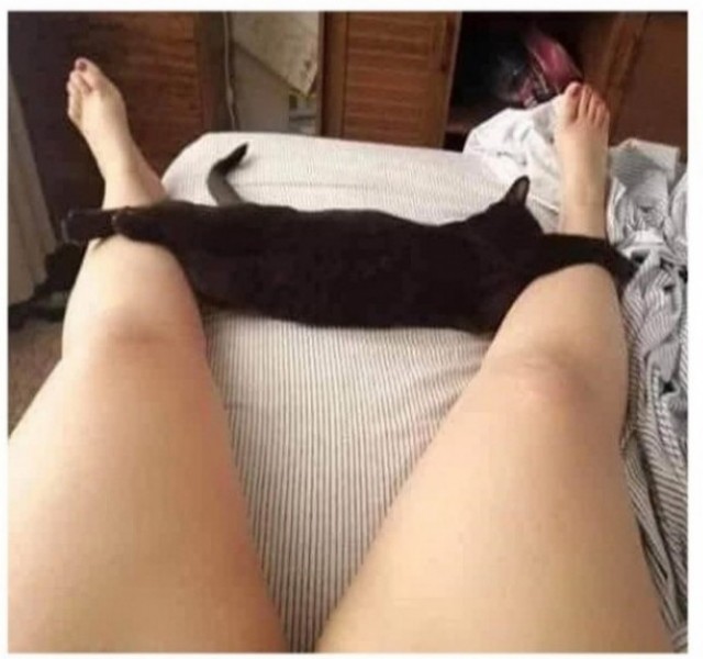 Любовница по убеждениям