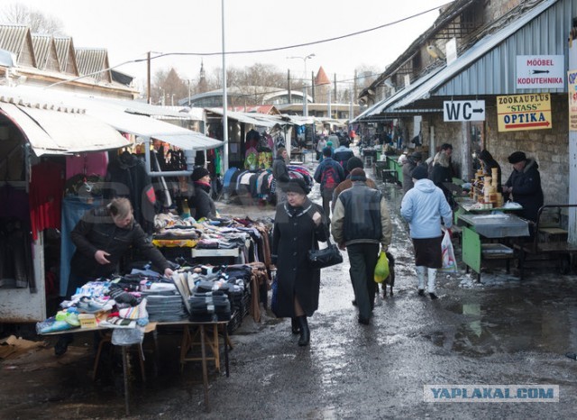 Все, что вы хотели знать об Эстонии...