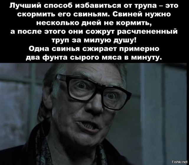 Опять псины...