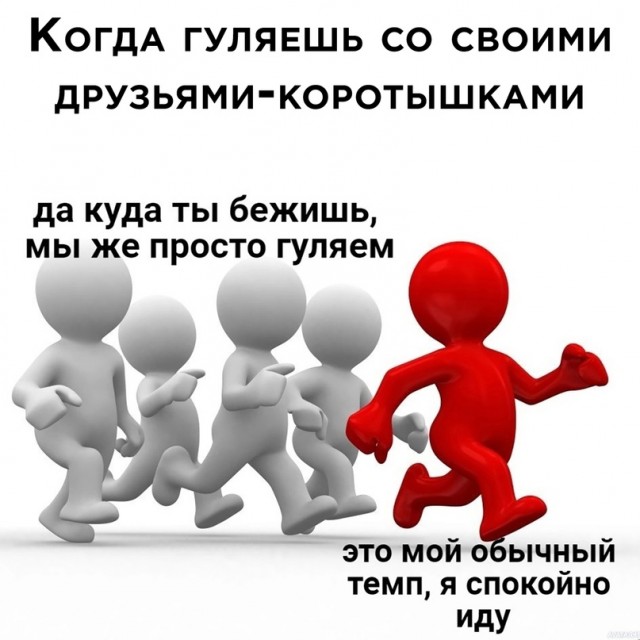 Весёлый полтишок 23.07.23
