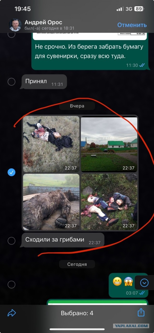 Выходи, обедать пора!