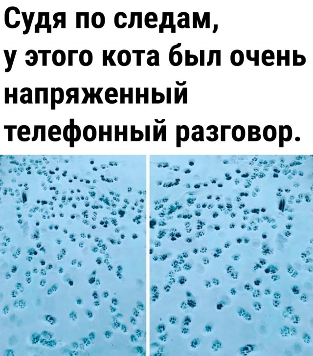 Так себе картинки 20.01.24