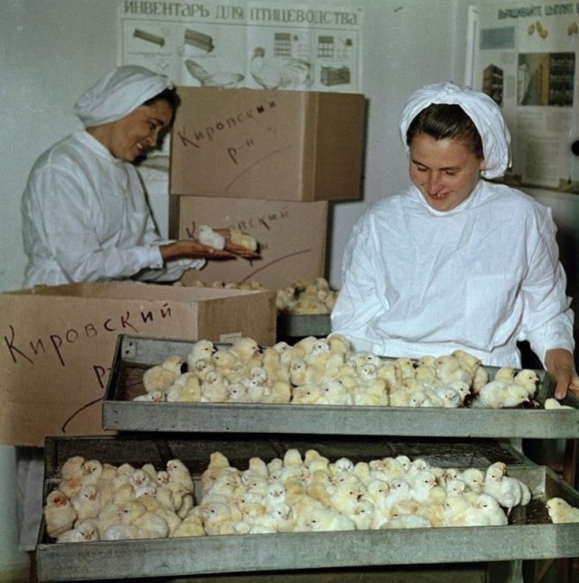 Фотографии из прошлого нашей страны - 49