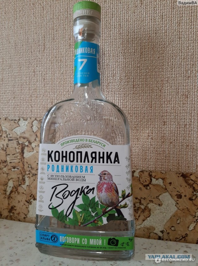 Птицы заметили, что за ними следят