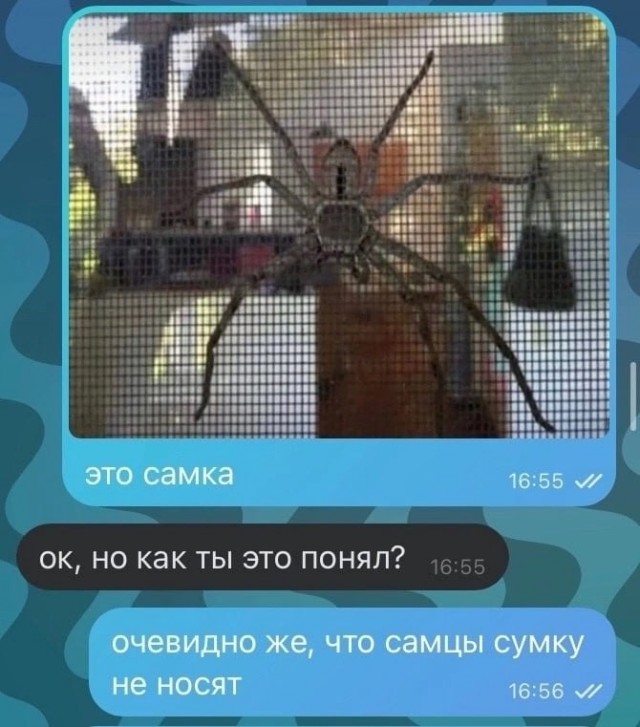 Завалялось тут случайно немного забавных картинок