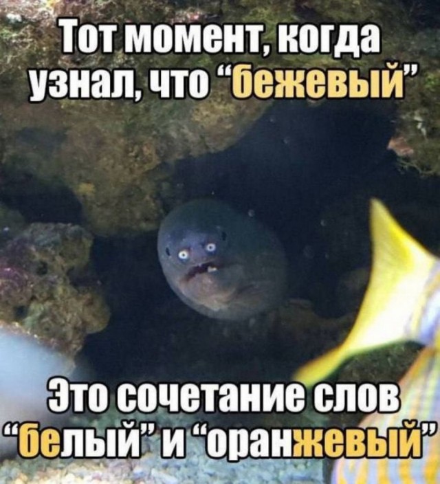 Отборные баяны 10-летней выдержки vol. 2