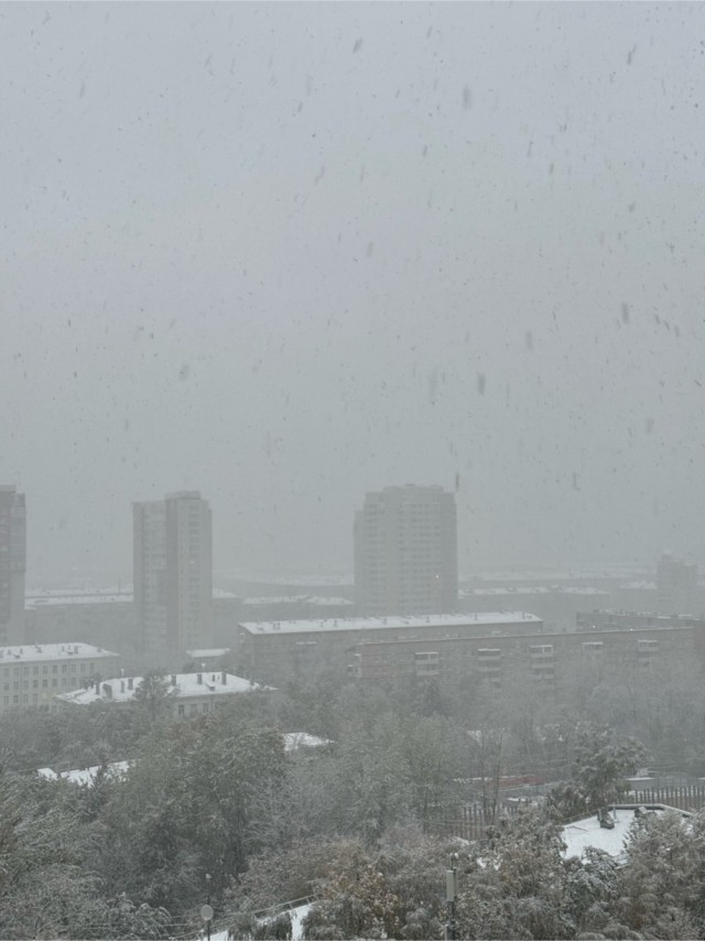 Снег добрался до Москвы