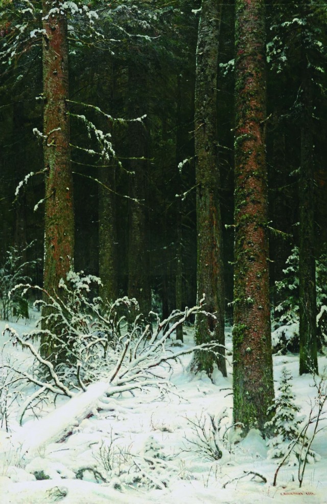 Шишкин первого января