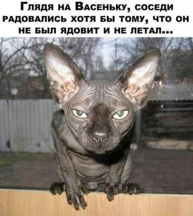 Маленькая пятница