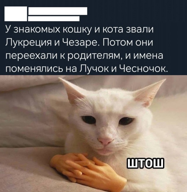 Так себе картинки 03.03.25