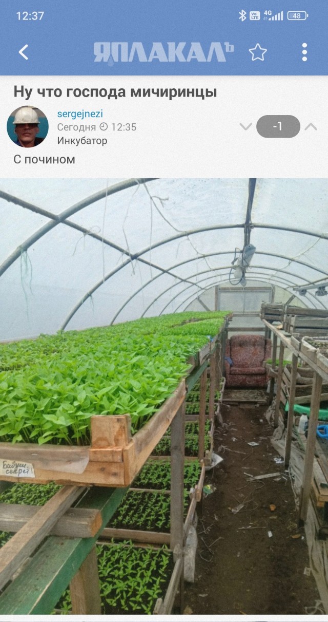 Ну что господа мичуринцы