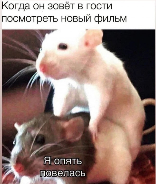 Ну, разбавим вторник позитивом!