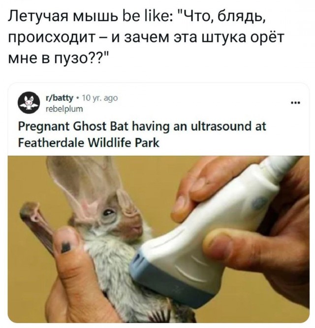 Веселые картинки во вторнег (06.05)