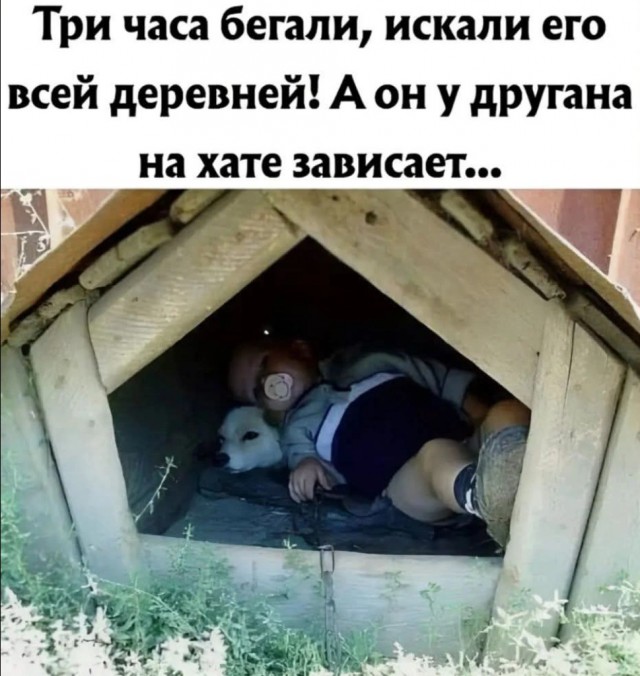 Завалялось тут случайно немного забавных картинок